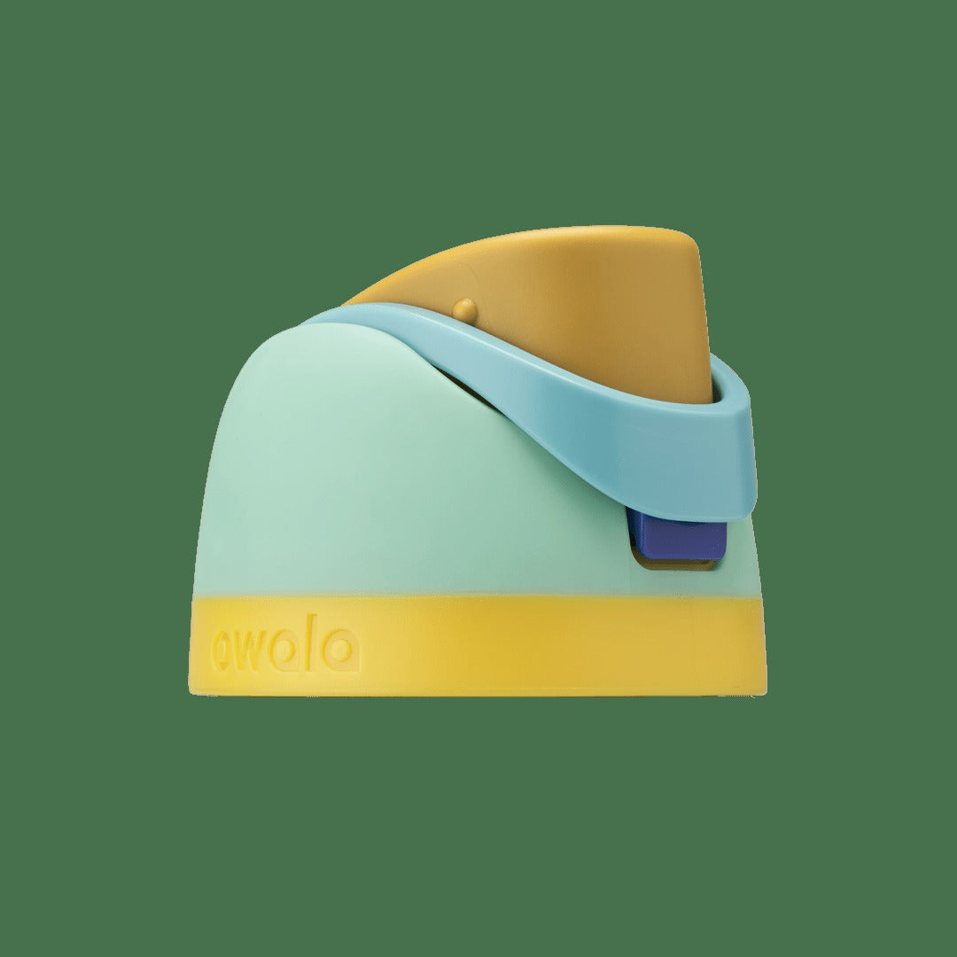 Replacement Lids