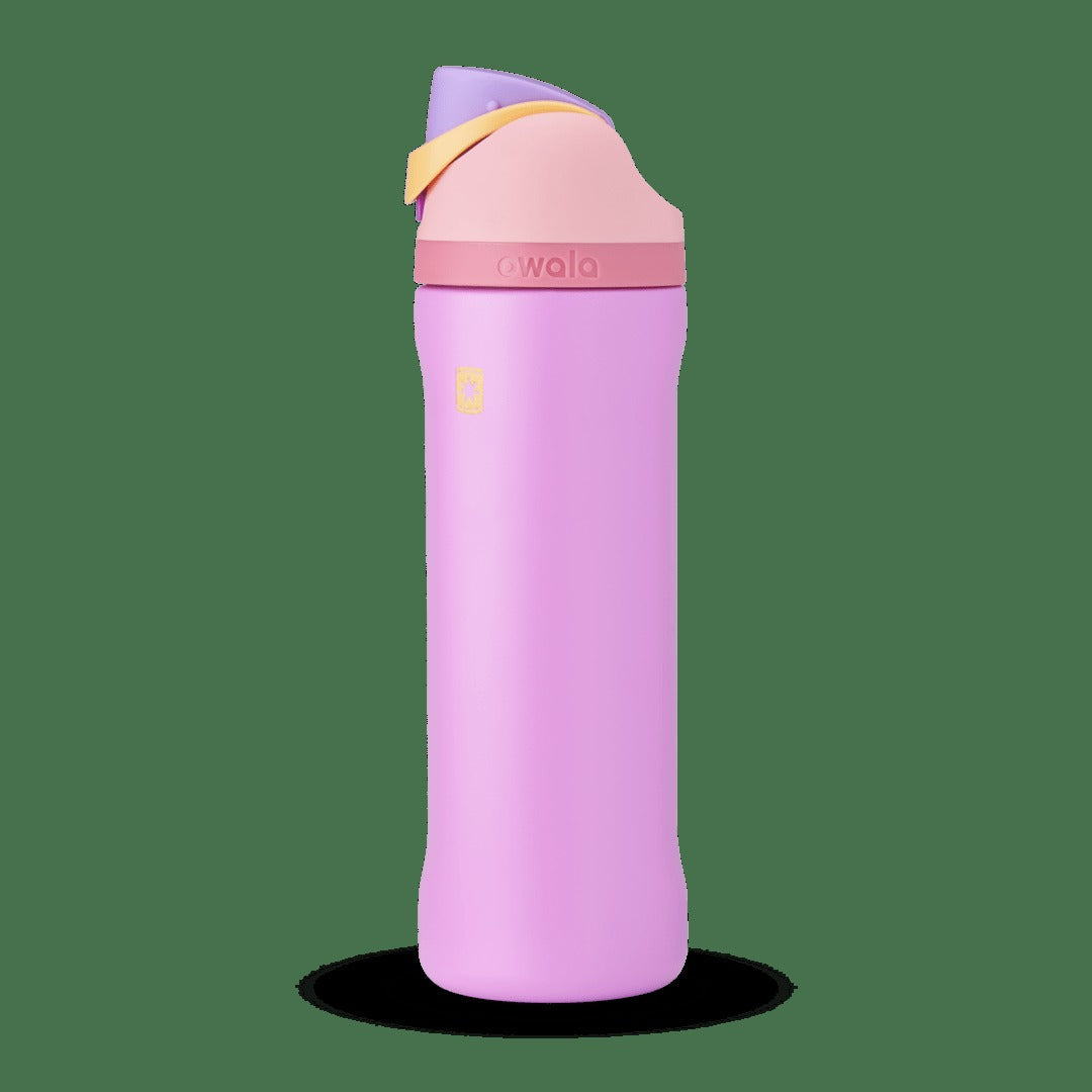Disney Princess Collection